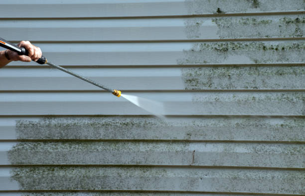 Best Toxic Mold Removal  in Albemarle, NC