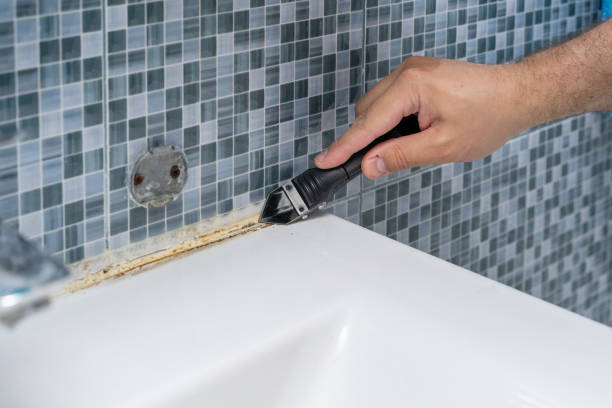 Best Same-Day Mold Removal  in Albemarle, NC